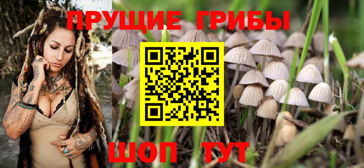 Воткинск  дарнет шоп  Вход с VPN  Галлюциногенные грибы мухоморы 